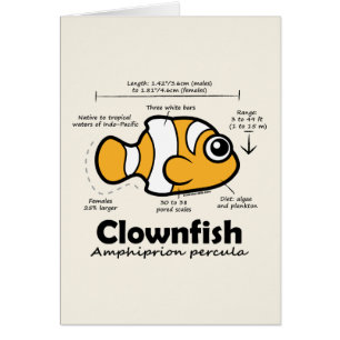 Clownfish Statistics