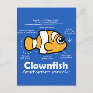 Clownfish Statistics Briefkaart