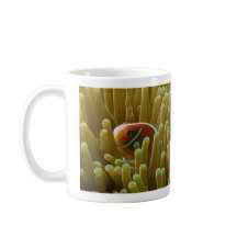 Clownfish sur la tasse de café de la Grande