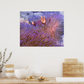 Clowning rond poster (Keuken)