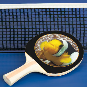 Clownvis - Close-up! Ronde Fotografische Vormgevin Tafeltennisbatje