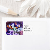 Clownvis en koraal etiket (Insitu)