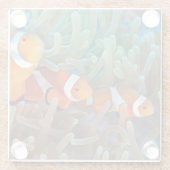 Clownvis Glazen Onderzetter (Achterkant)