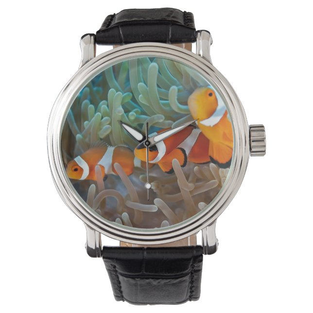 Clownvis Horloge (Voorkant)