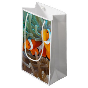 Clownvis Klein Cadeauzakje