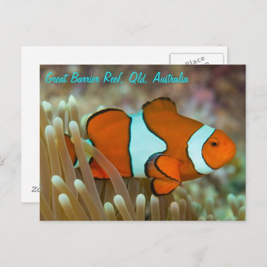 Clownvis op het Briefkaart van het Great Barrier R (Voorkant / Achterkant)