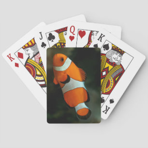 Clownvis Pokerkaarten