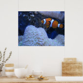 Clownvis Poster (Keuken)