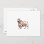 Clumber Spaniel Briefkaart (Voorkant / Achterkant)