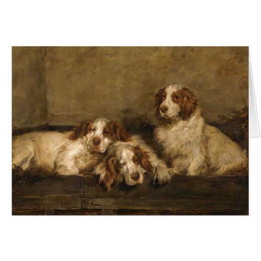 - Clumber Spaniel Dogs (Voorkant Horizontaal)