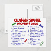 CLUMBER SPANIEL Eigendomswetten 2 Briefkaart (Voorkant / Achterkant)