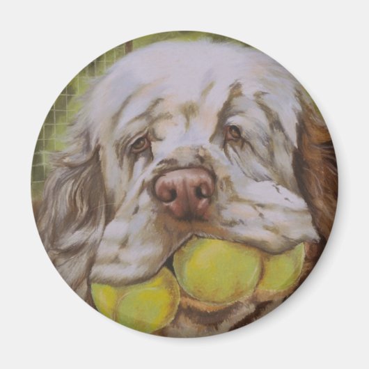 Clumber Spaniel Magneet (Voorkant)