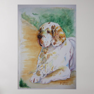 Clumber Spaniel - Mijn vriend afdrukken Poster