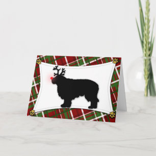 Clumber Spaniel Rendier Christmas Kaart