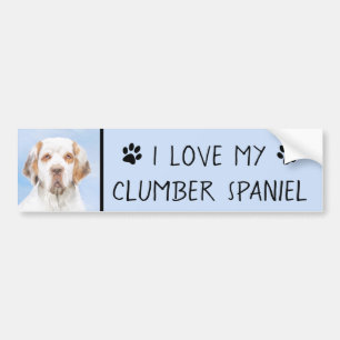 Clumber-spaniel schilderen - Kute Original Dog Art Bumpersticker