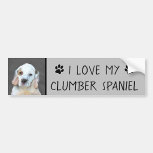 Clumber-spaniel schilderen - Kute Original Dog Art Bumpersticker