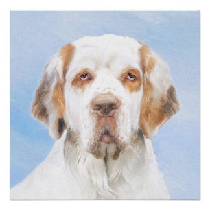 Clumber-spaniel schilderen - Kute Original Dog Art Perfect Poster
