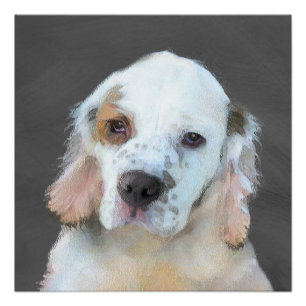 Clumber-spaniel schilderen - Kute Original Dog Art Perfect Poster