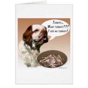Clumber Spaniel Turkije