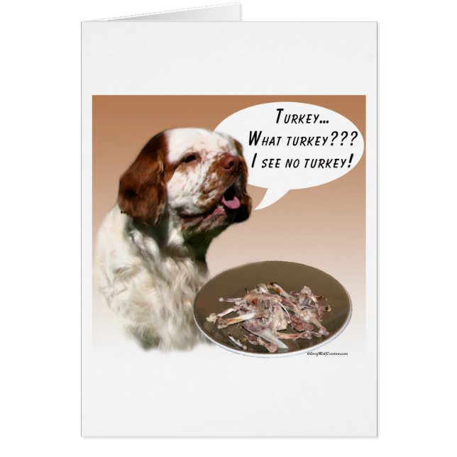 Clumber Spaniel Turkije (Voorkant)
