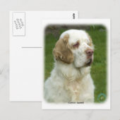 Clumber Spanjaard 9Y003D-101 Briefkaart (Voorkant / Achterkant)