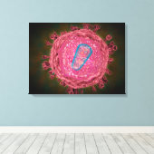 Cluster HIV-virus 2 Canvas Afdruk (Insitu (Houten vloer))