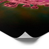 Cluster HIV-virus 2 Poster (Hoek)