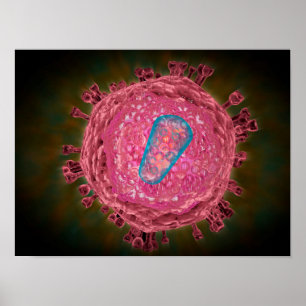 Cluster HIV-virus 2 Poster