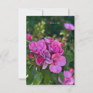 Cluster roze rozen notitiekaartje