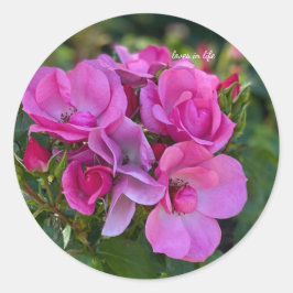 Cluster van lavendel Roze Rozen Ronde Sticker