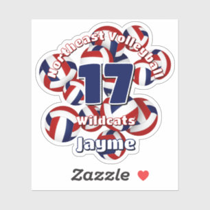 Cluster van Red Blue Volleyballs Team Naam Sticker