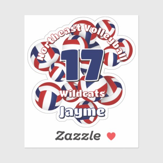 Cluster van Red Blue Volleyballs Team Naam Sticker (Vel)