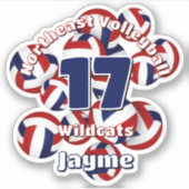 Cluster van Red Blue Volleyballs Team Naam Sticker (Voorkant)