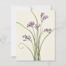 Clusterlily door Mary Vaux Walcott Notitiekaartje