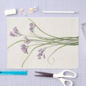 Clusterlily door Mary Vaux Walcott Tissuepapier (Craft)