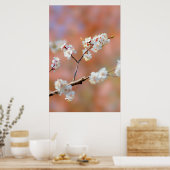 Clusters van Japanse abrikozenbloemen Poster (Keuken)