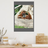 Clyde Poster (Keuken)