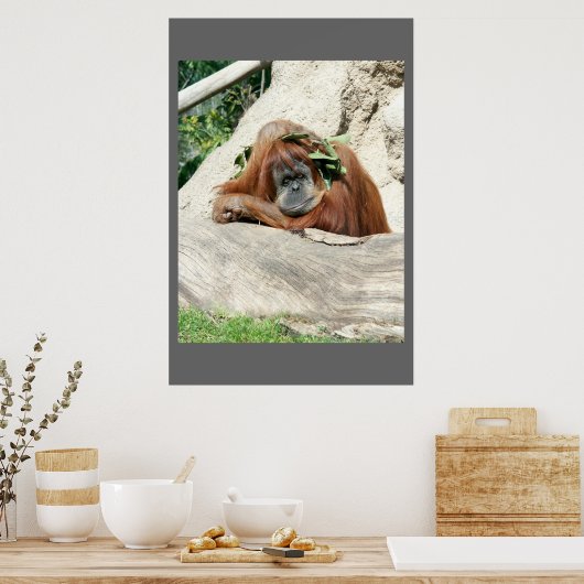 Clyde Poster (Keuken)