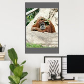 Clyde Poster (Thuiskantoor)