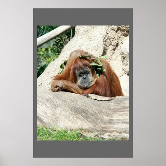 Clyde Poster (Voorkant)