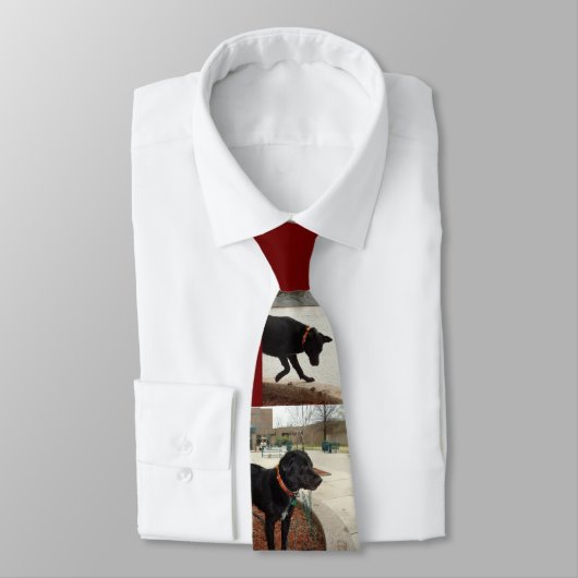 ClydeII Stropdas (Gebonden)