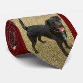 ClydeII Stropdas (Opgerold)