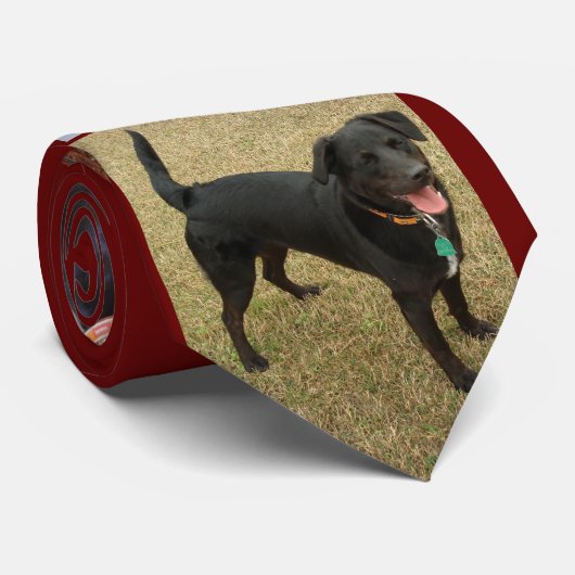 ClydeII Stropdas (Opgerold)