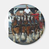 Clydesdale 6 paard hapering magneet (Voorkant)
