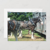 Clydesdale Briefkaart (Voorkant / Achterkant)