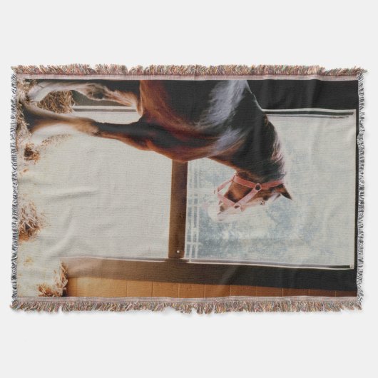 Clydesdale Deken (Voorkant)