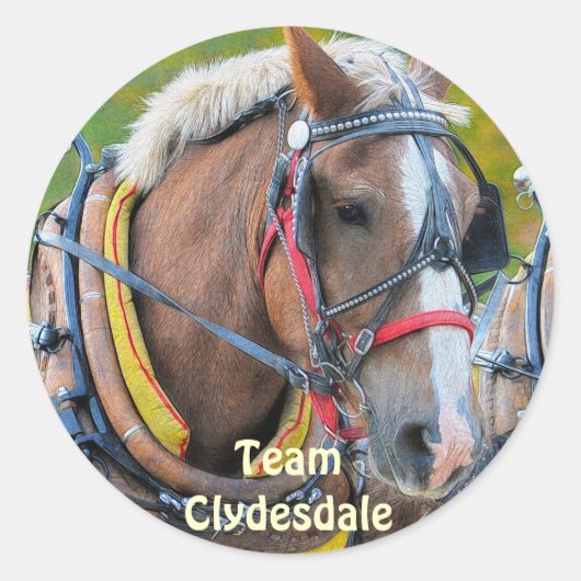 Clydesdale Draft Horse Equine Art Sticker (Voorkant)
