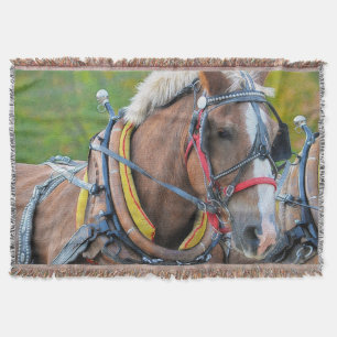 Clydesdale Draft Horse Equine Photo Gift Deken