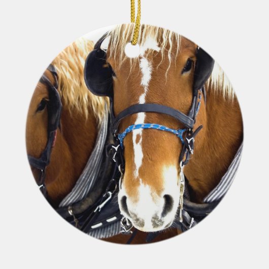 Clydesdale Draft Horse Ornament (Voorkant)