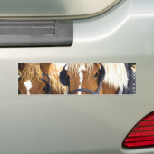 Clydesdale Draft Horses Bumpersticker (Op auto)